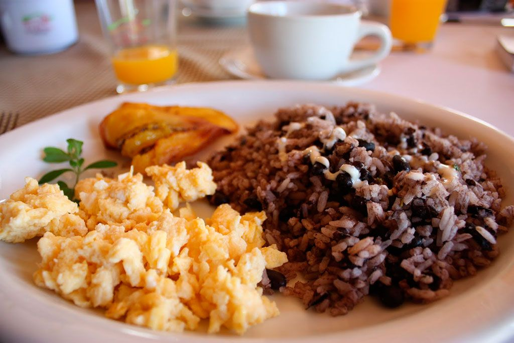 Alimentación